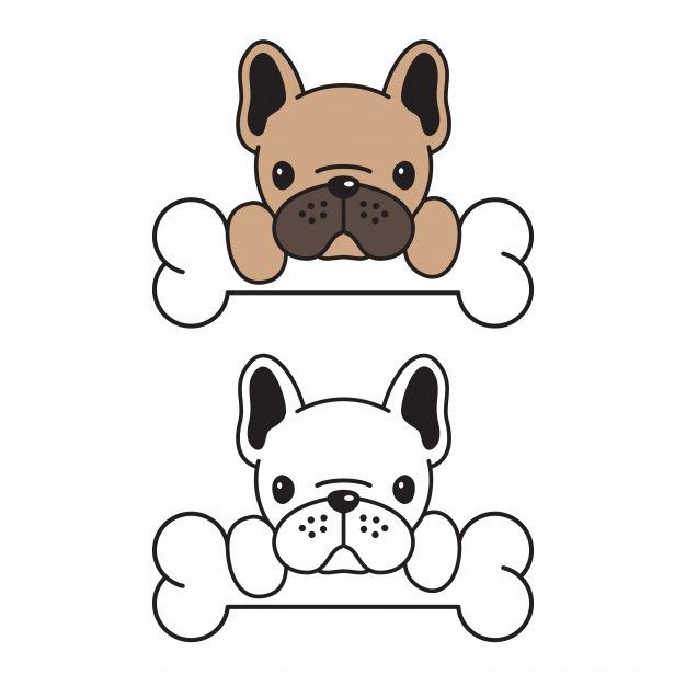 French Bulldog Doodle | French Bulldog