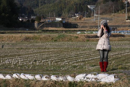 Flickr Friends