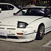 White Pignose