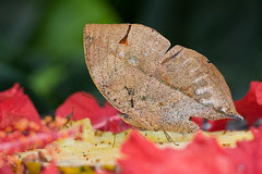 IMG_9966 copy