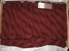 red deer