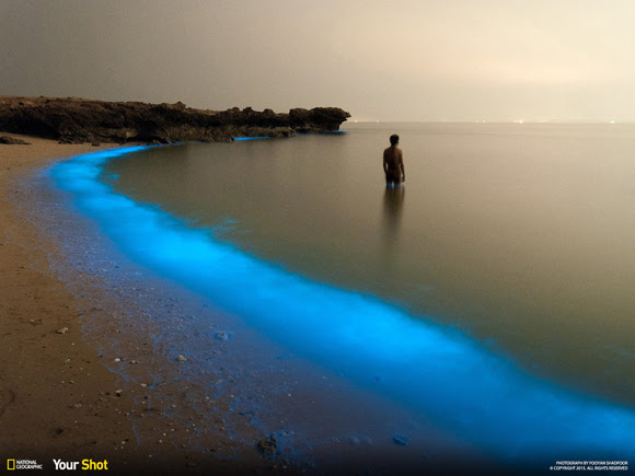 National Geographic2-2015