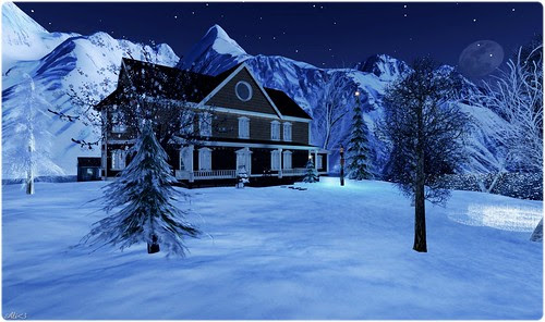 winter night