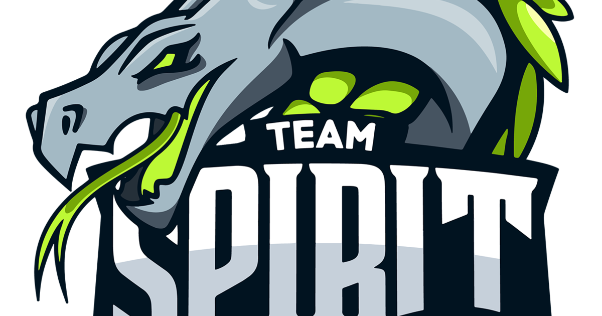 Team spirit shopify. Капитан тим спирит. Команда Team Spirit. Team Spirit Dota 2. Тренер тим спирит.