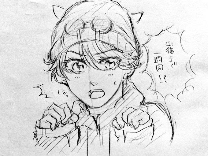 50 怪盗 山猫 イラスト かわいいフリー素材集 いらすとや