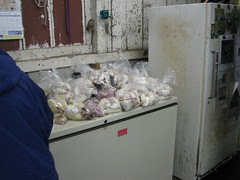 rodent bags