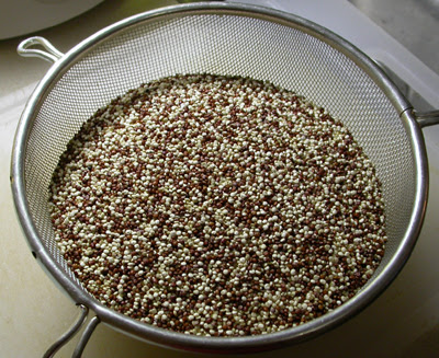 Quinoa