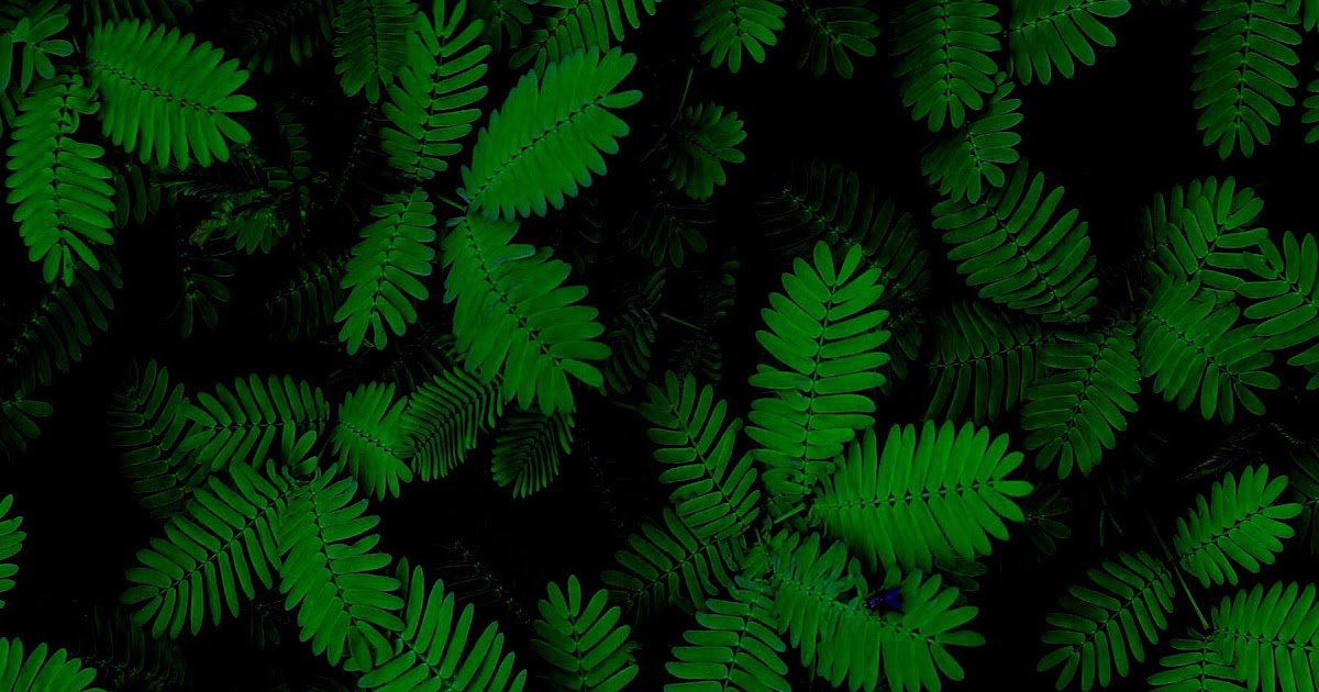 Drippy 2K21 Wallpapers Green - In this abstract collection we have 20
