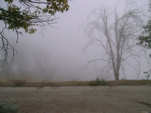 DSC00557