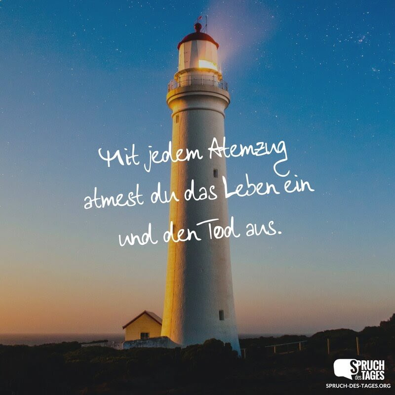 Lustige Sprüche Wenn Jemand Nicht Antwortet Nanuli Diasamidze
