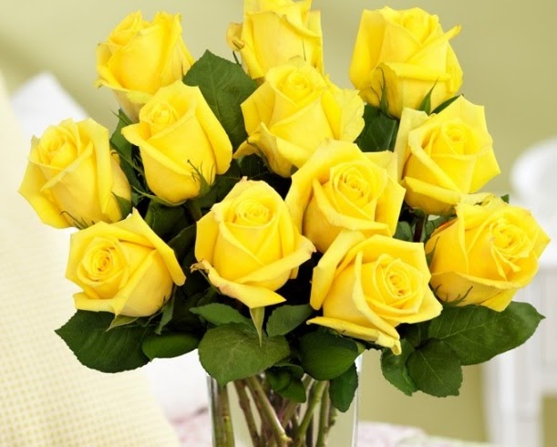 Paling Populer 23 Bunga  Mawar  Kuning  Putih Gambar Bunga  
