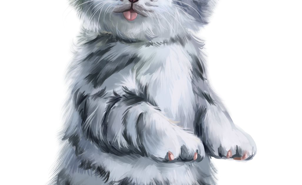 knifentn: Drawing Kucing Cartoon : Gambar Kucing Kartun Png - 81021