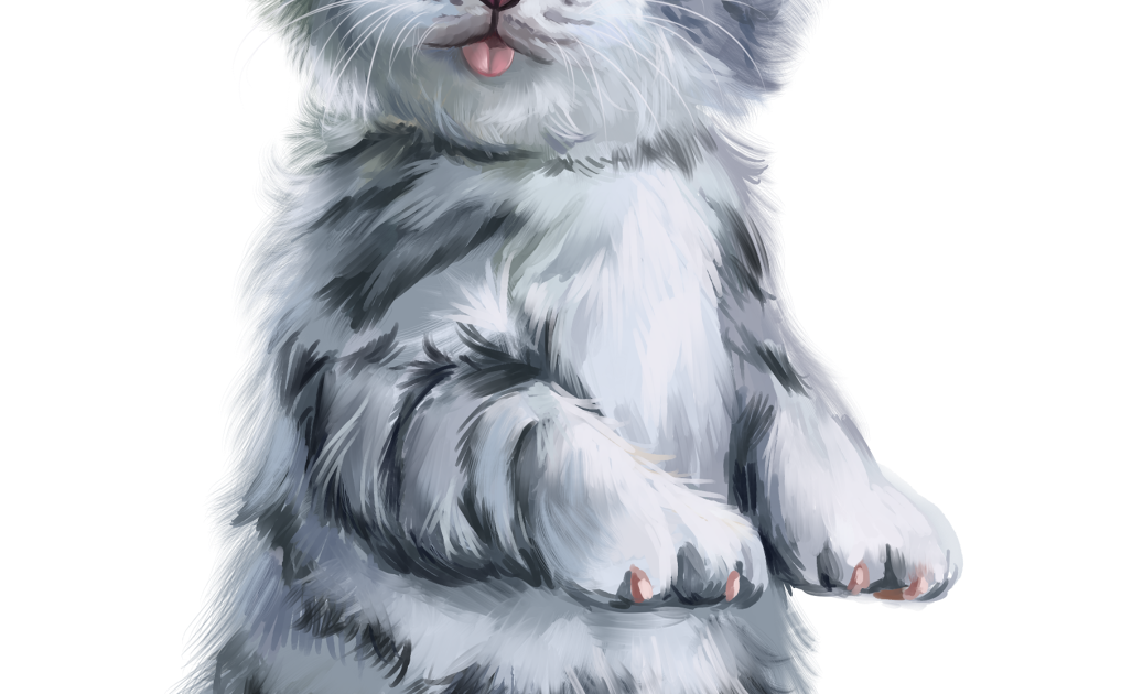 Kucing Lucu Png