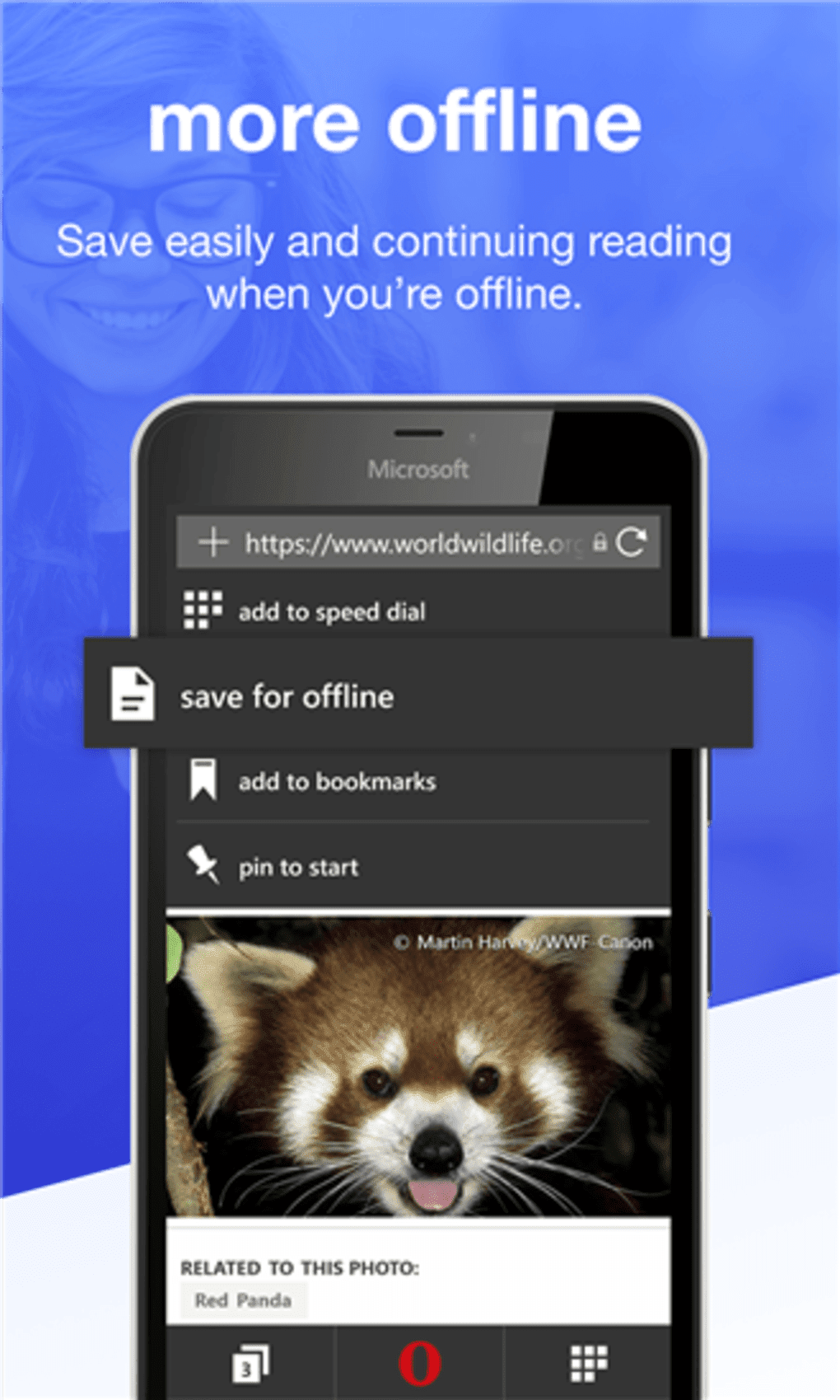 Offline exe. Windows Phone браузер.