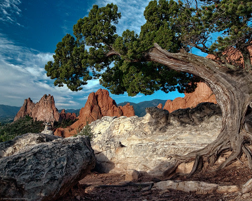 Juniper Natural Frame
