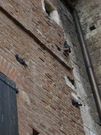 Free Image Hosting at www.ImageShack.us