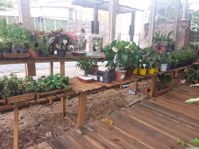 Fruticultura e Floricultura Pipoca - Belo Horizonte