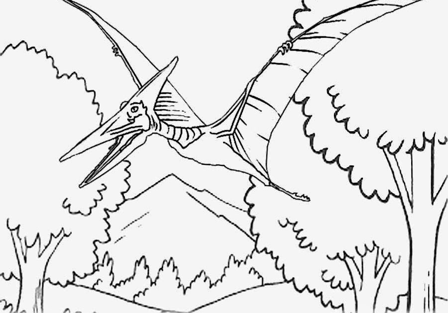 Mewarnai Gambar Cicak Mewarnai Gambar Baru