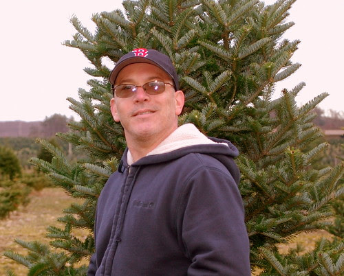 Tree Hunt 4