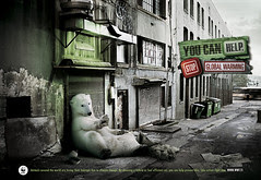 Homeless Polar bear