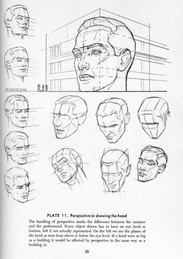 andrew loomis books for beginners
