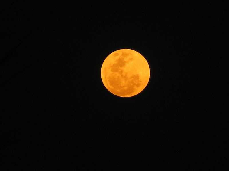 TOM CLARK: Moony Masque