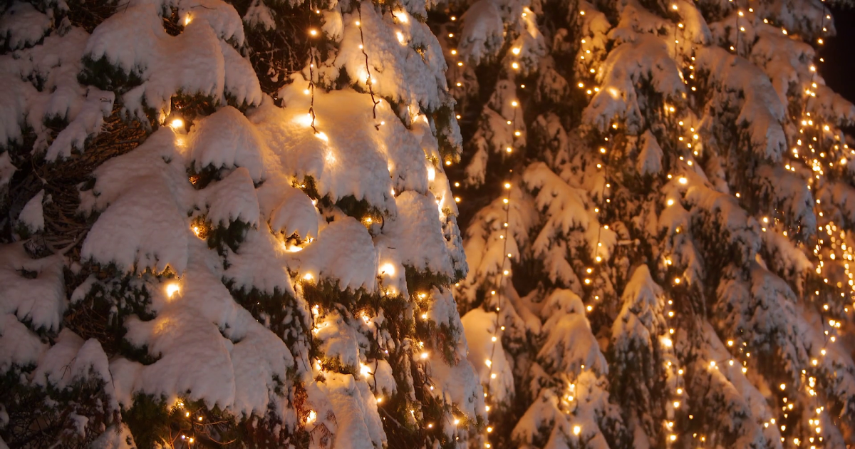 Light Snow Falling Png - Download 112 snow png images with transparent