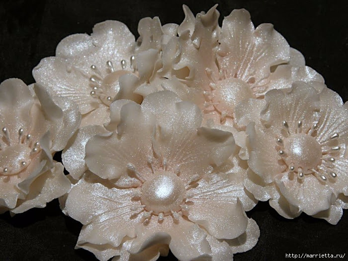 Modelado de masilla de azúcar para las tortas. flores hermosas. Clase magistral (12) (700x525, 283KB)