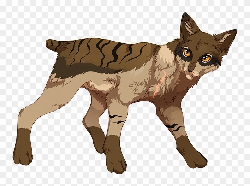 58 Best Images Brown Cat Names Warriors / Warrior Cats Name Generator