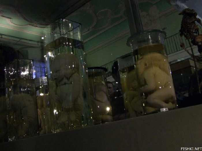 Museum Paling Sadis Dunia, Koleksi Museum Seram Paling Menyeramkan
