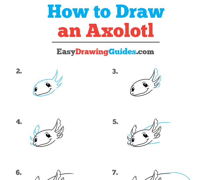 Easy Step Axolotl Drawing Axolotl Drawing Bat Symphony Png