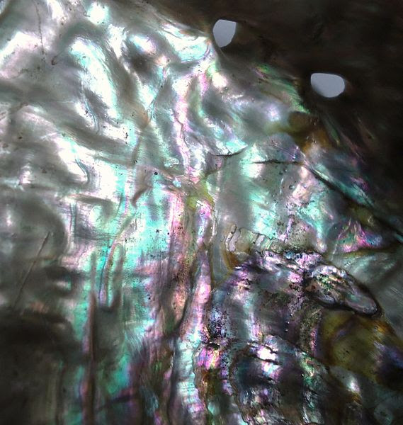 File:Abalone nacre.JPG