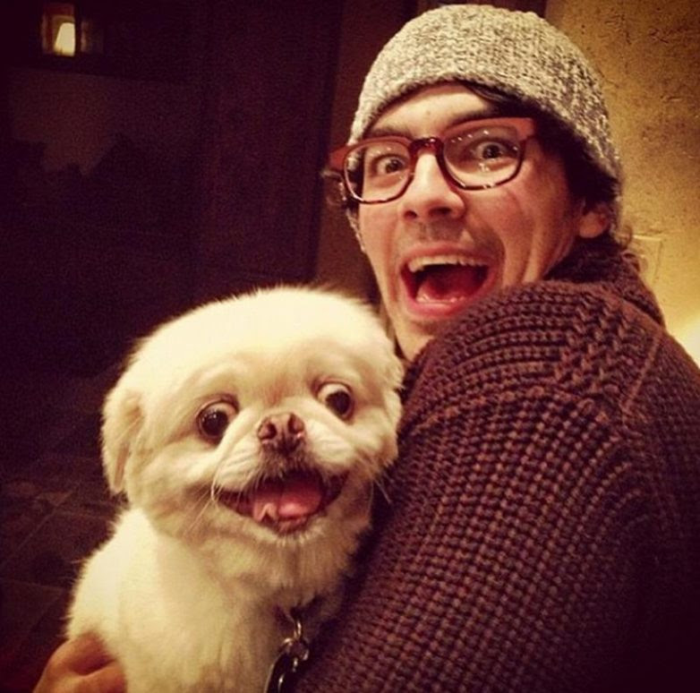 25 well, very surprised dogs