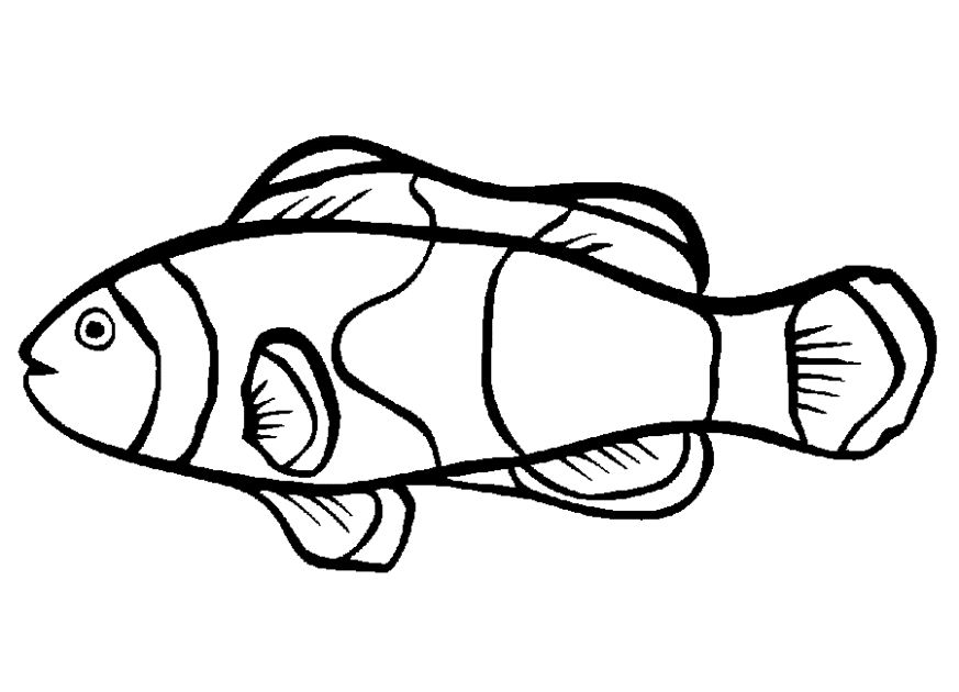 Gambar Ikan Hitam Putih Untuk Mewarnai