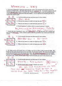 Punnett Square Worksheet 1 Answers - Worksheet List