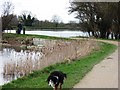 SP9213 : Marsworth and Startops Reservoirs. Tring by Chris Reynolds