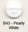 B43 Pearly White