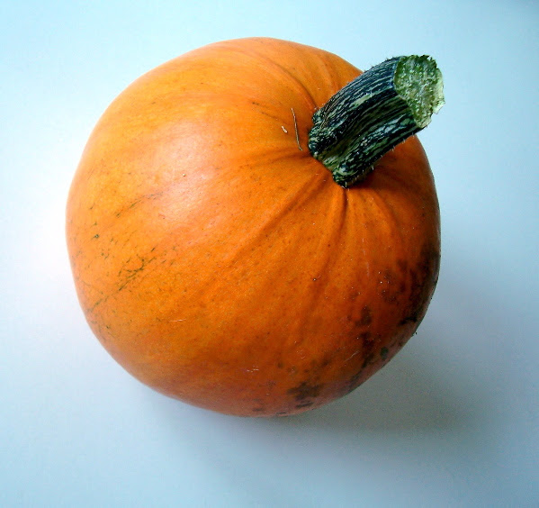 august pumpkin