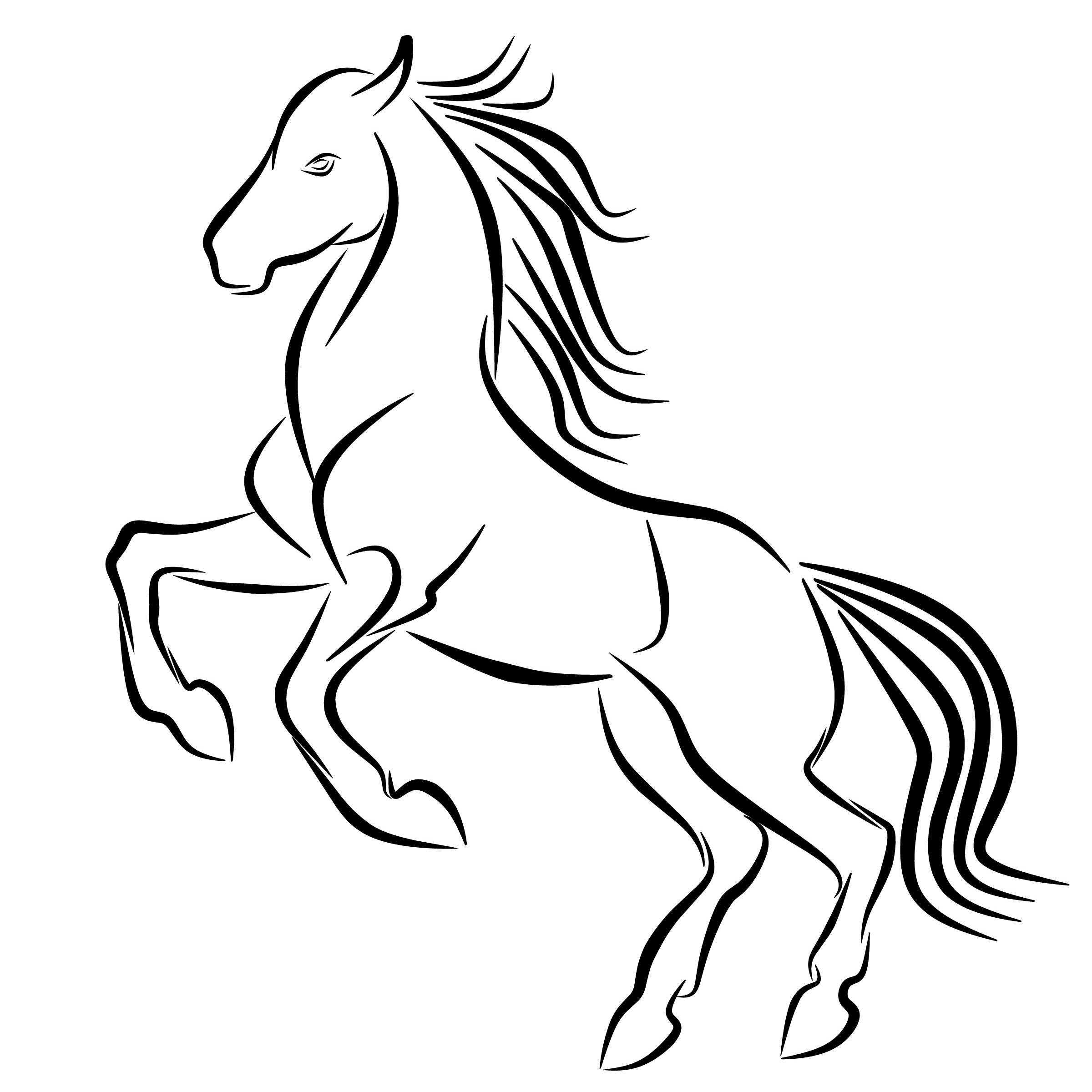 Hei! 45+ Sannheter du Ikke Visste om How To Draw A Mustang Horse: This