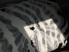 Blocking Lady's Circular Cape 2