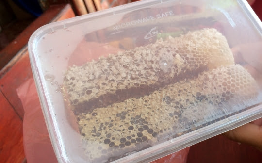Indung Madu