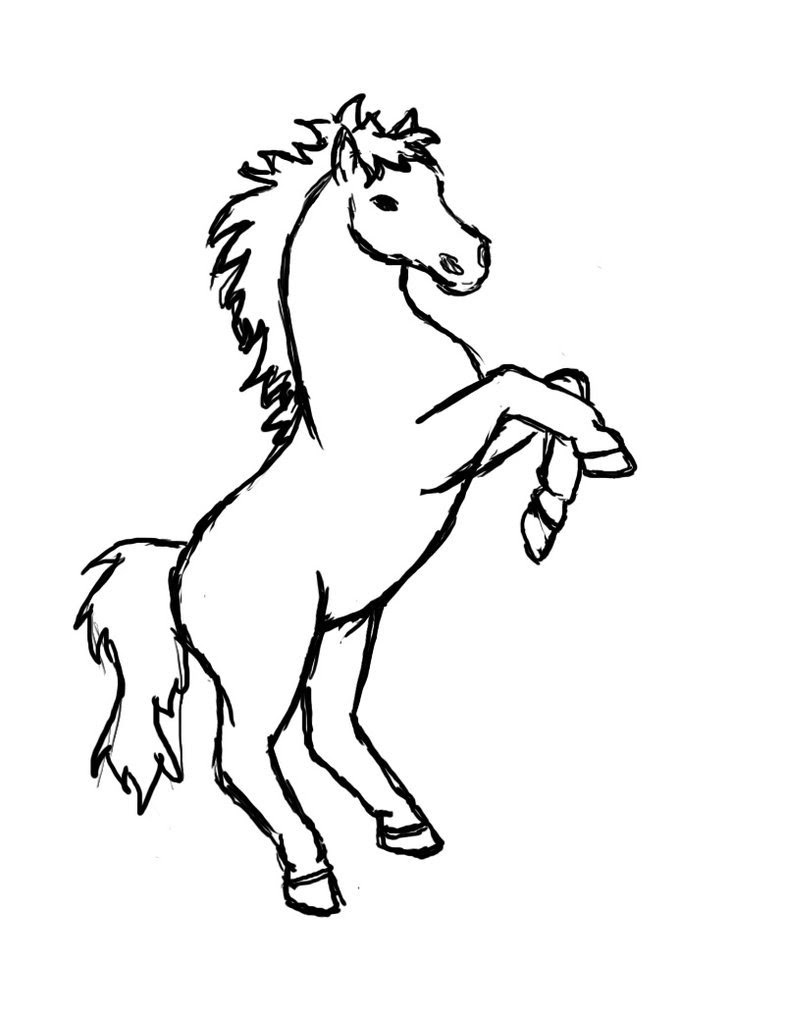 Horse Rearing Drawing Easy