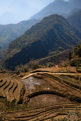 Sapa