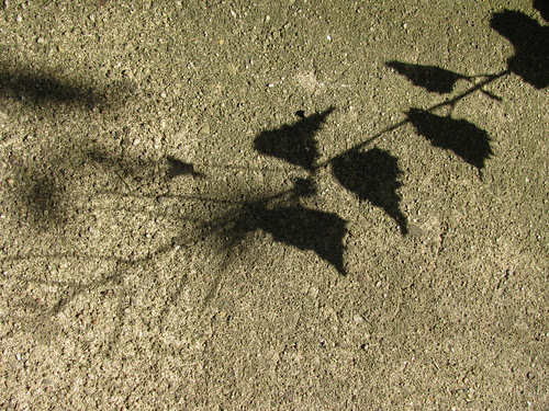 shadow on concrete