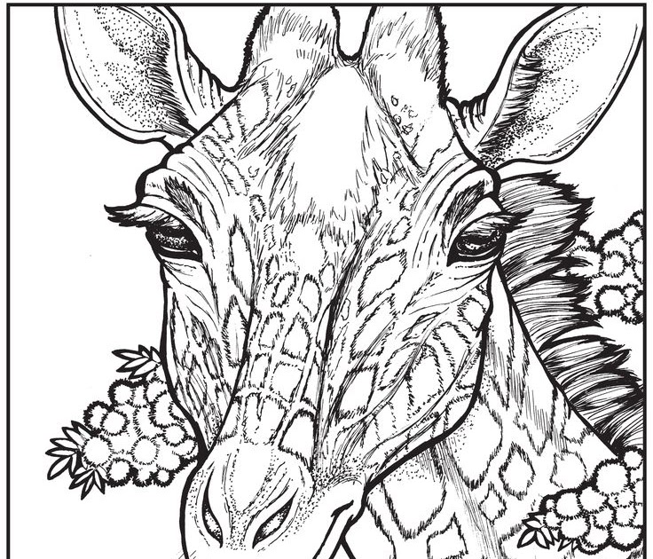 Relaxing Coloring Pages Free download best Relaxing ...