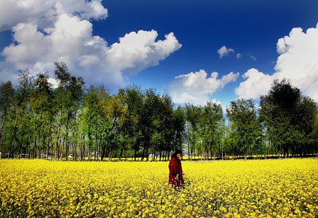 Kashmir,,,,,