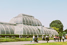 Best Royal Botanic Gardens At Kew In London Near You