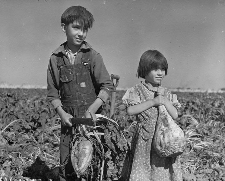 File:Children and Sugar beets Nebraska 1940.jpg