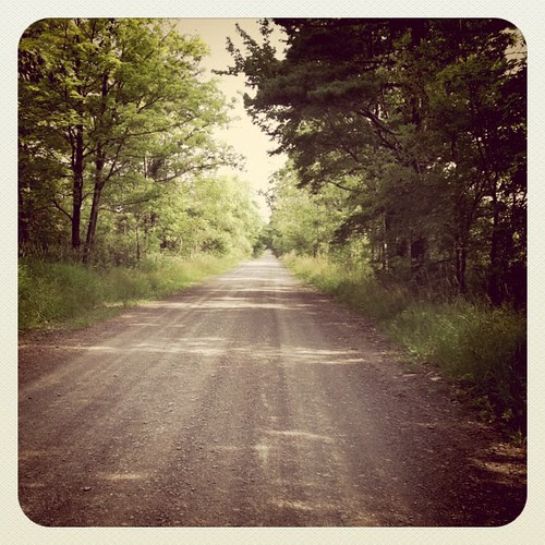 Country roads make me weep, I love them so.