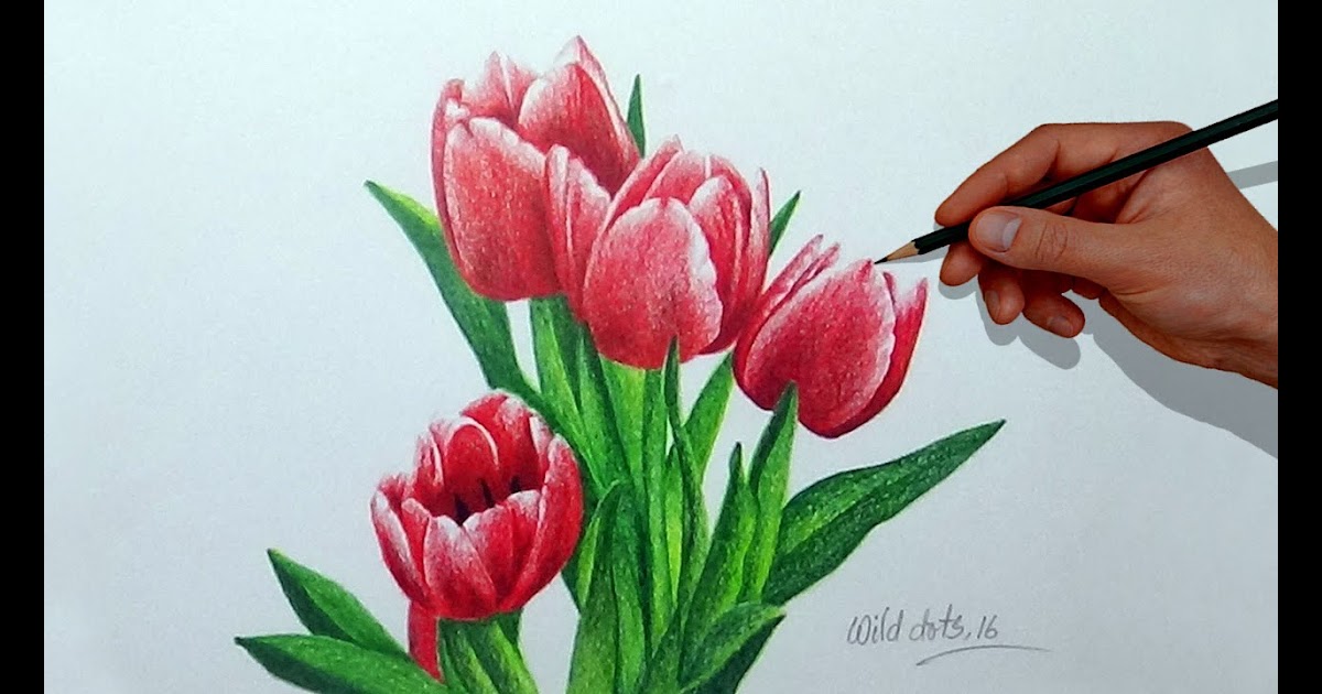 Flower Pencil Colour Drawing - Draggolia